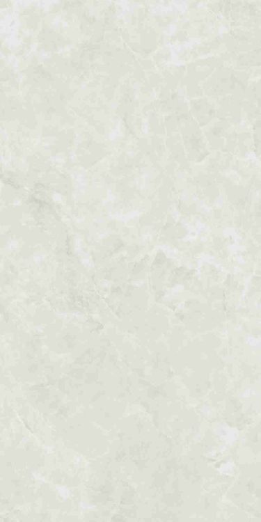 Kraken Light Matte 12 x 24
